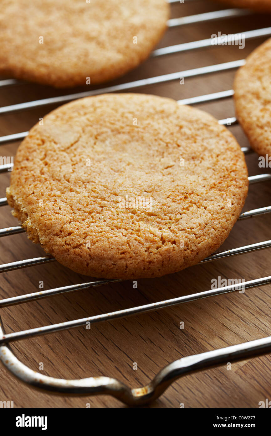 Cookies Kekse auf ein Kuchengitter Stockfoto