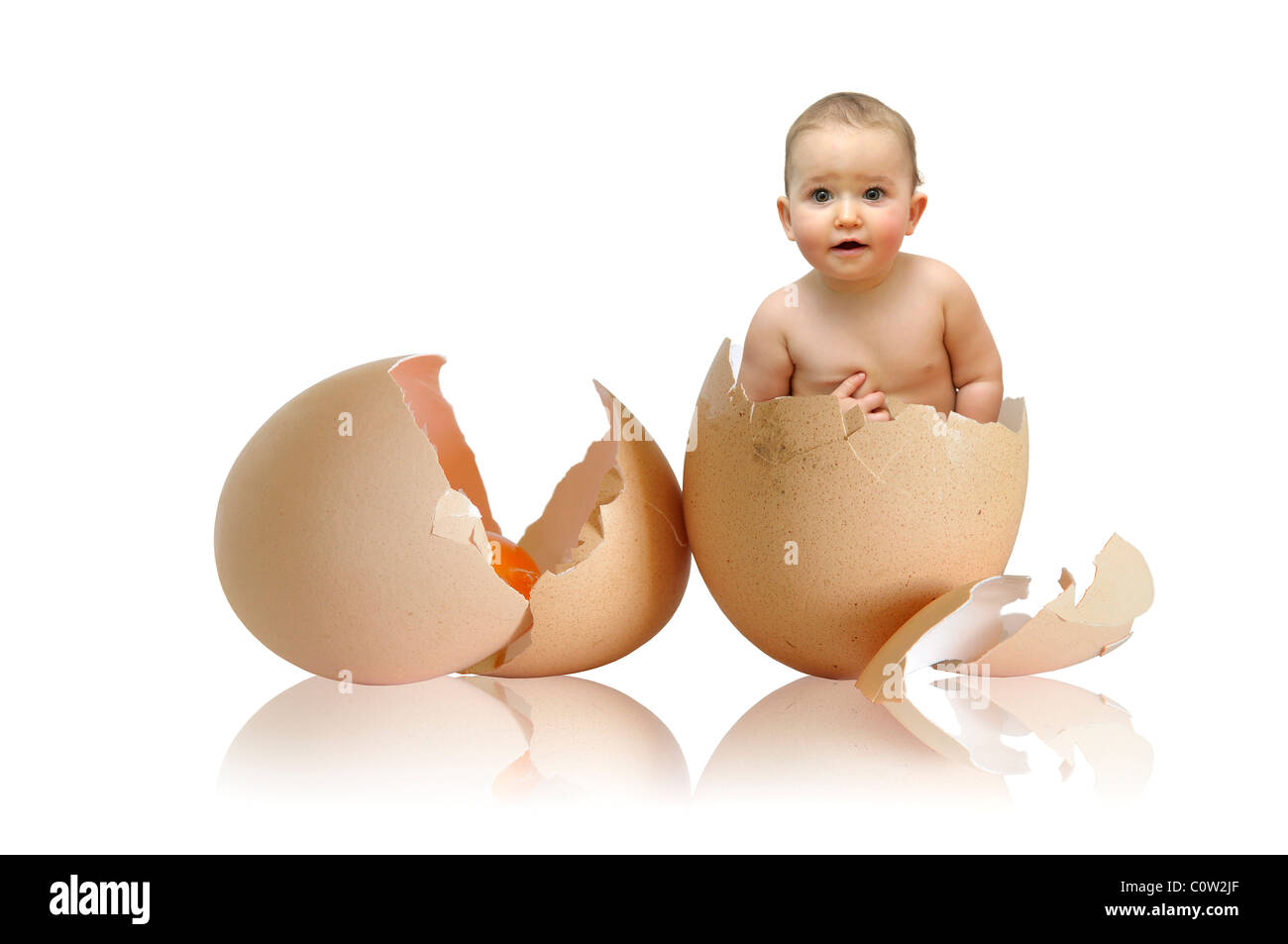 Schöne Baby in einem Ei isoliert in weiß Stockfoto