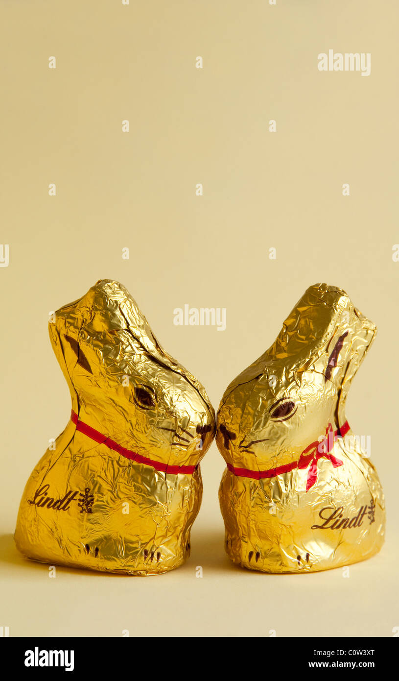 Zwei süße Schokolade Baby Hasen kuschelte Nasen. Stockfoto
