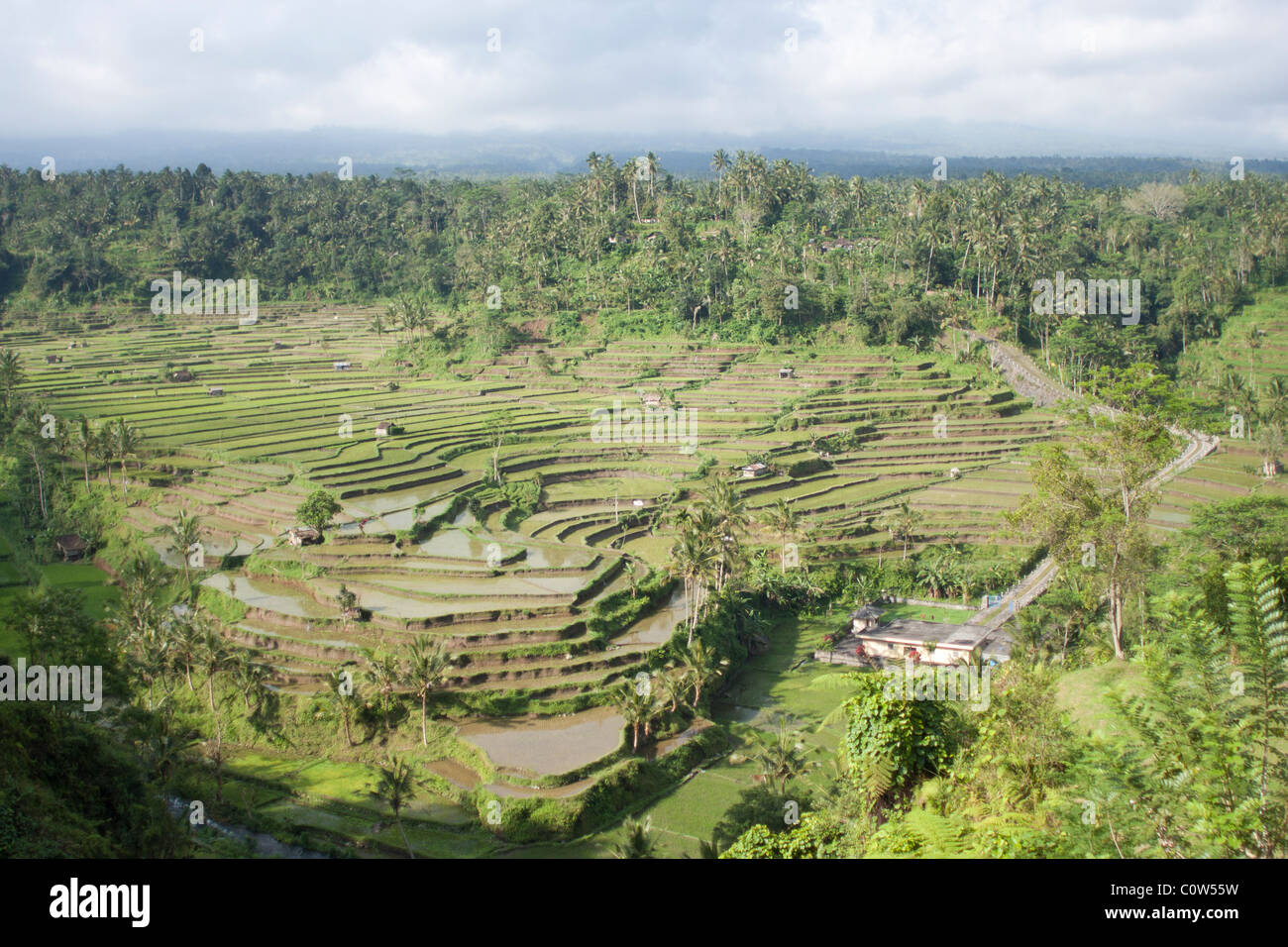 Bali Stockfoto