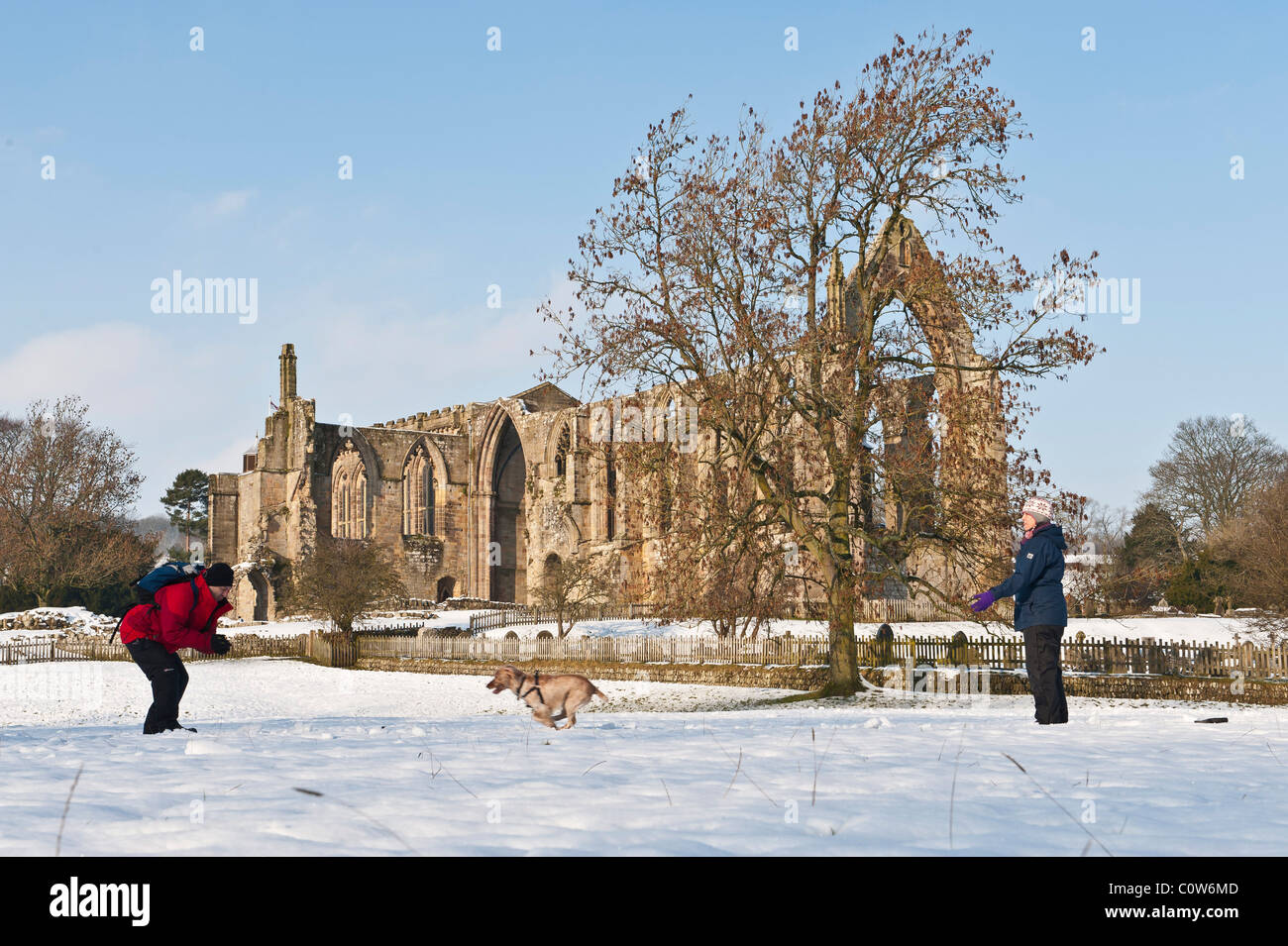 Bolton Abbey Yorkshire Dales Flusses Wharfe Stockfoto