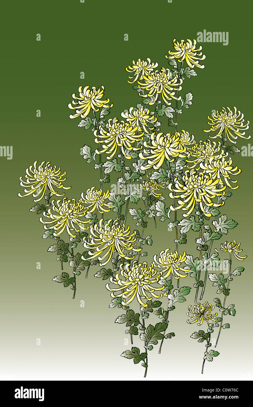 CG der japanischen Malerei, Chrysantheme Stockfoto