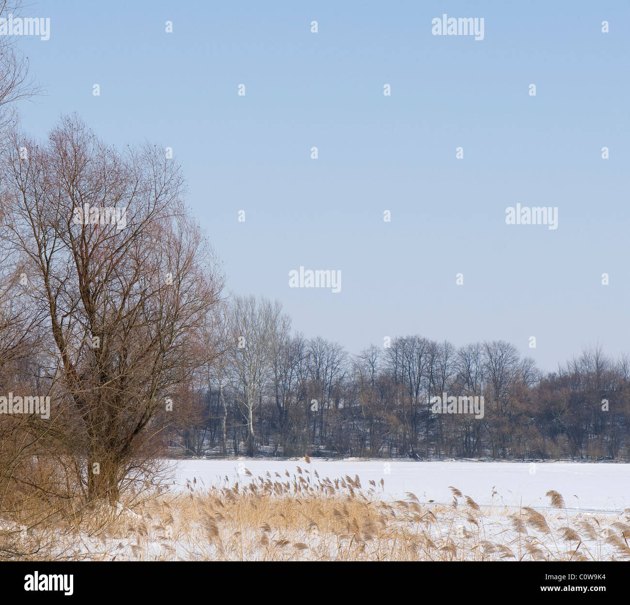 See-winter Stockfoto