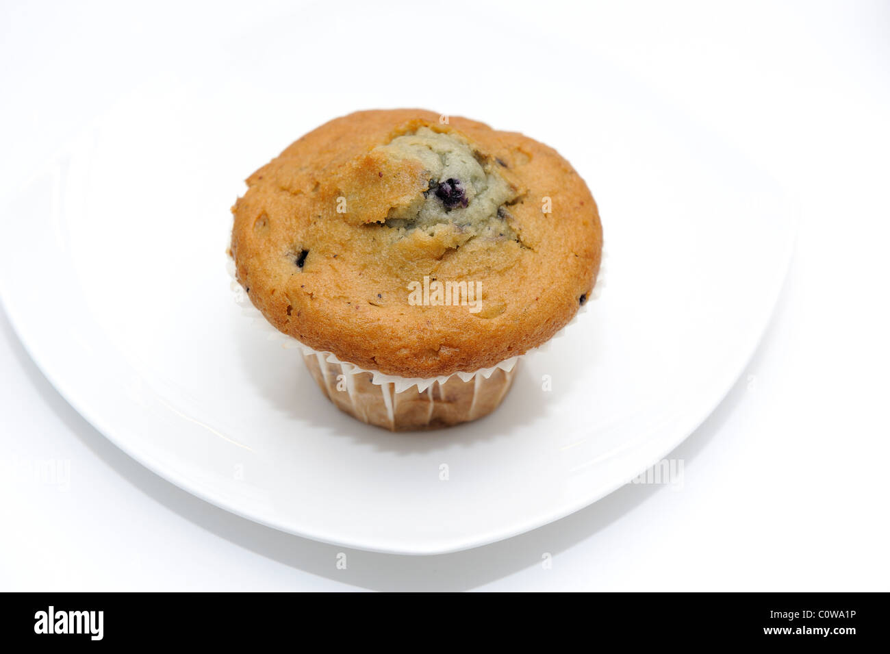 Blueberry Muffin auf einem weißen Teller Stockfoto