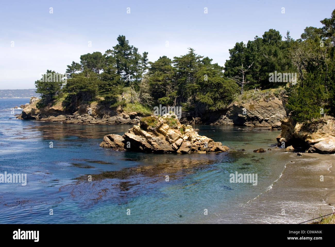 Coastal Bluff mit Cypress Tress, Point Lobos, CA Stockfoto