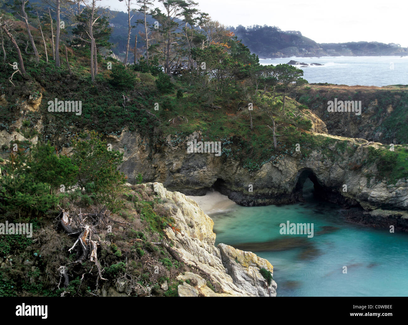 Point Lobos - China Cove, Kalifornien. Stockfoto