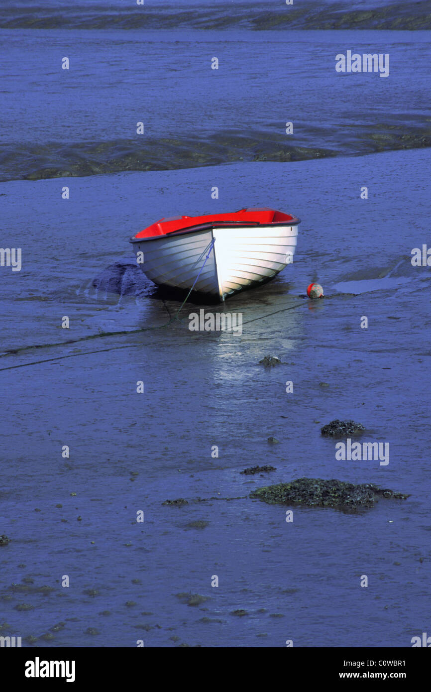 Boot bei Ebbe Strangford Lough, Nordirland. Stockfoto