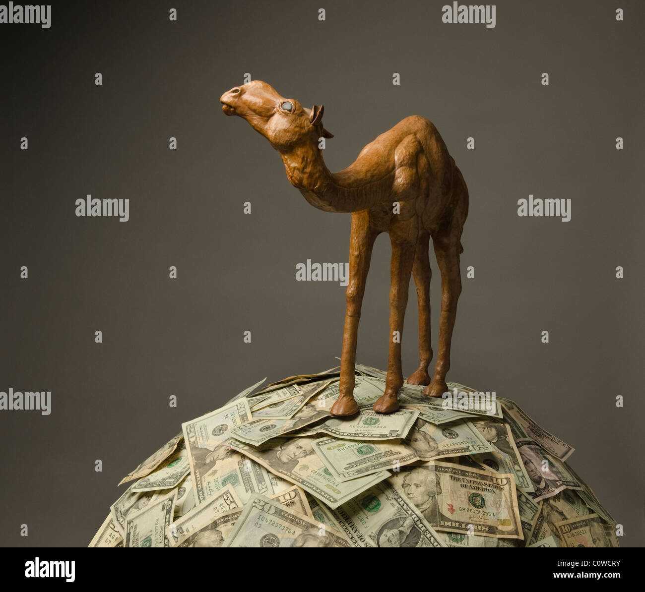 Modell der Kamel stehend auf Hügel des US-Papier-Währung Stockfoto