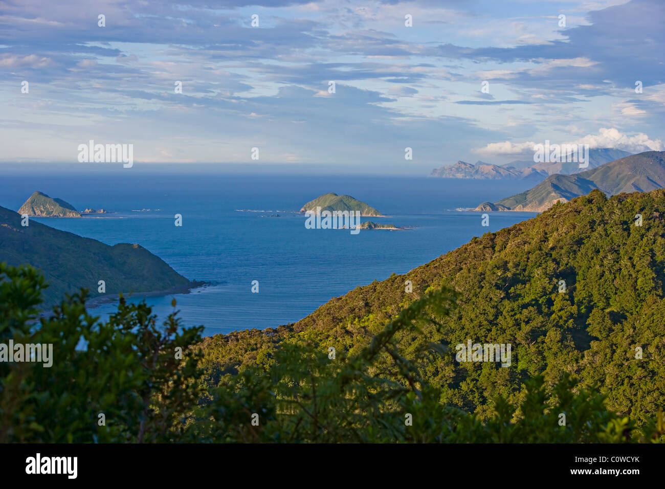 Bay, Marlborough Sounds, Südinsel, Neuseeland, Stockfoto