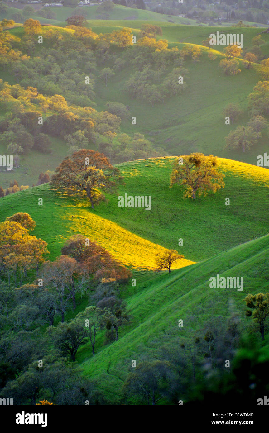 Mt Diablo State Park hills Stockfoto