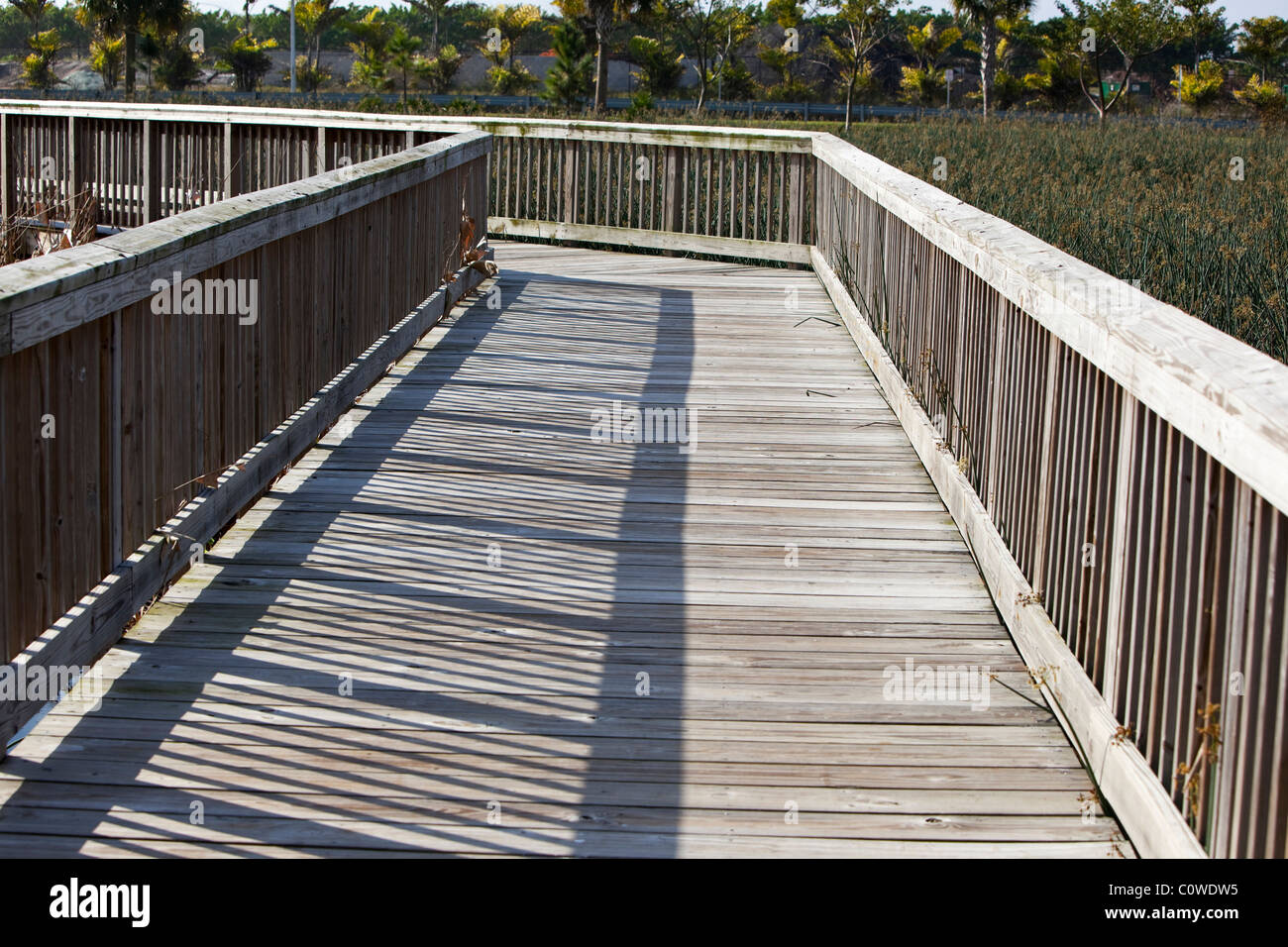 Erhöhten Holzsteg, Green Cay Sumpfgebiete, Naturzentrum, Florida, USA, Stockfoto