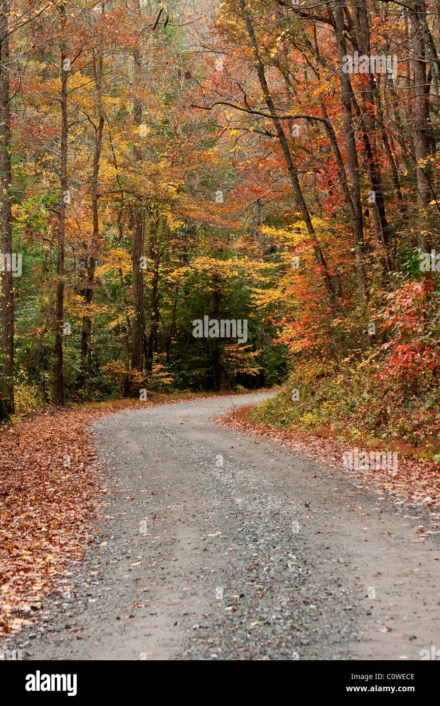 Kiesweg mit Herbst Farben in Elljay Georgien. Stockfoto