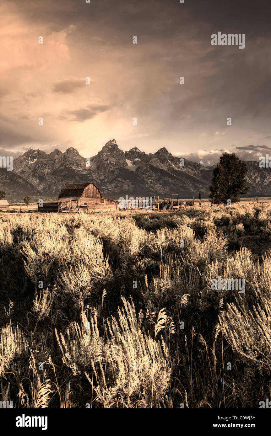 Historische Scheune auf Mormone Zeilen- und Teton Bergkette, Grand-Teton-Nationalpark, Wyoming, USA Stockfoto