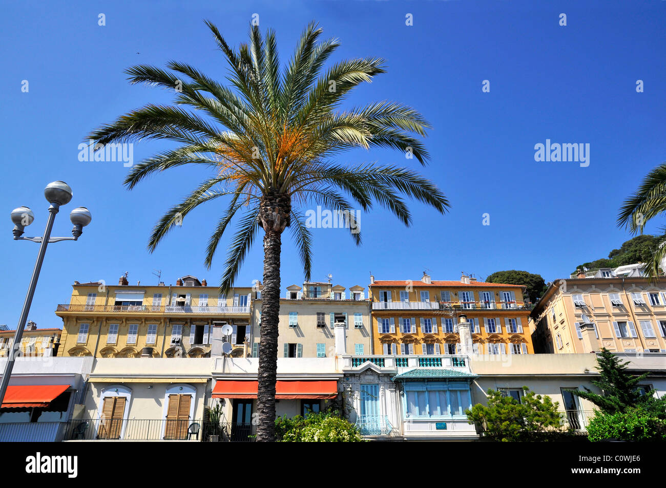 Palme und Gebäude in Nizza an der französischen Riviera, Departement Alpes-maritimes Stockfoto