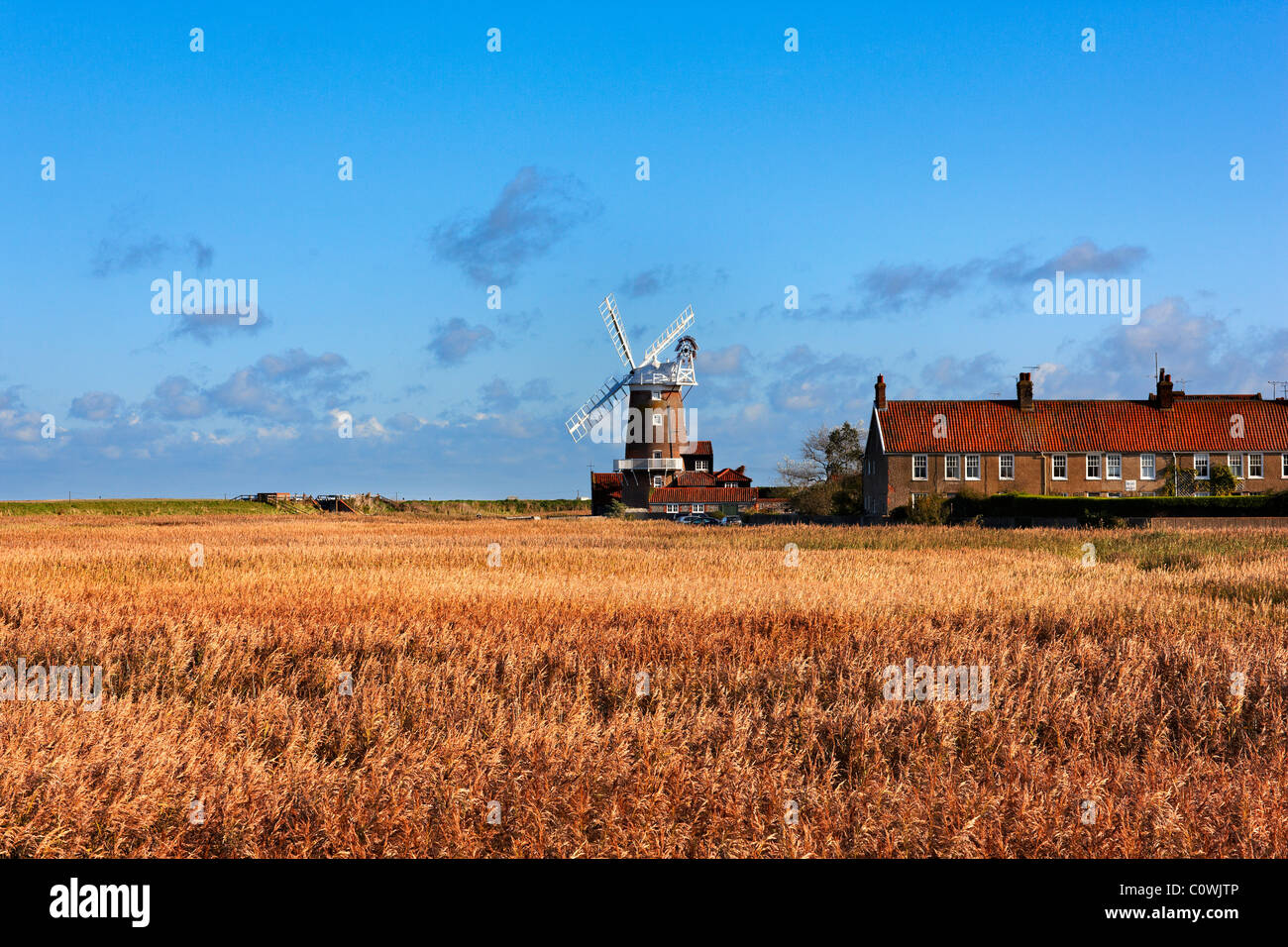 Cley nächsten Sea, Norfolk. Blick über die Reed Sümpfe Cley Mühle am Rande des Dorfes. Herbst. Stockfoto