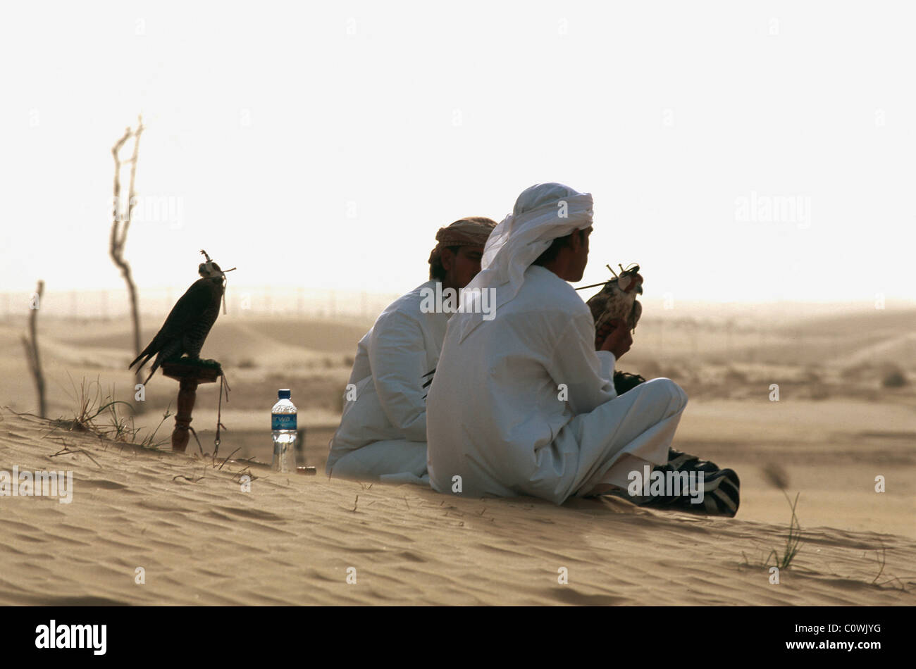 Bab al Shams, Falcon, Dubai, Vereinigte Arabische Emirate Stockfoto