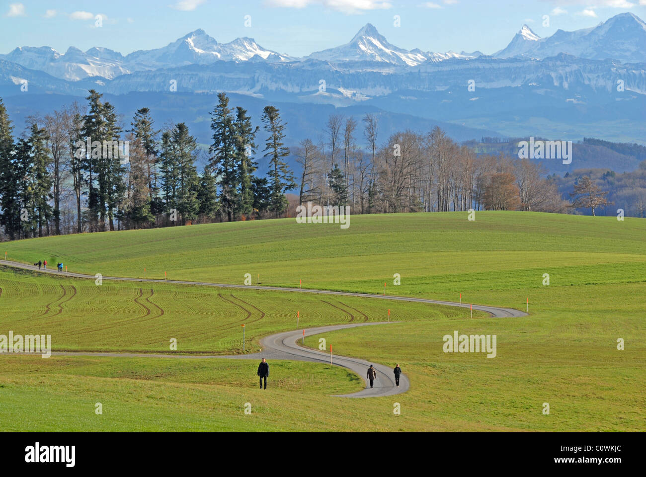 Menschen zu Fuß Weg durch Wiese auf Gurten, mit Berner Alpen, Bern, Schweiz  Stockfotografie - Alamy