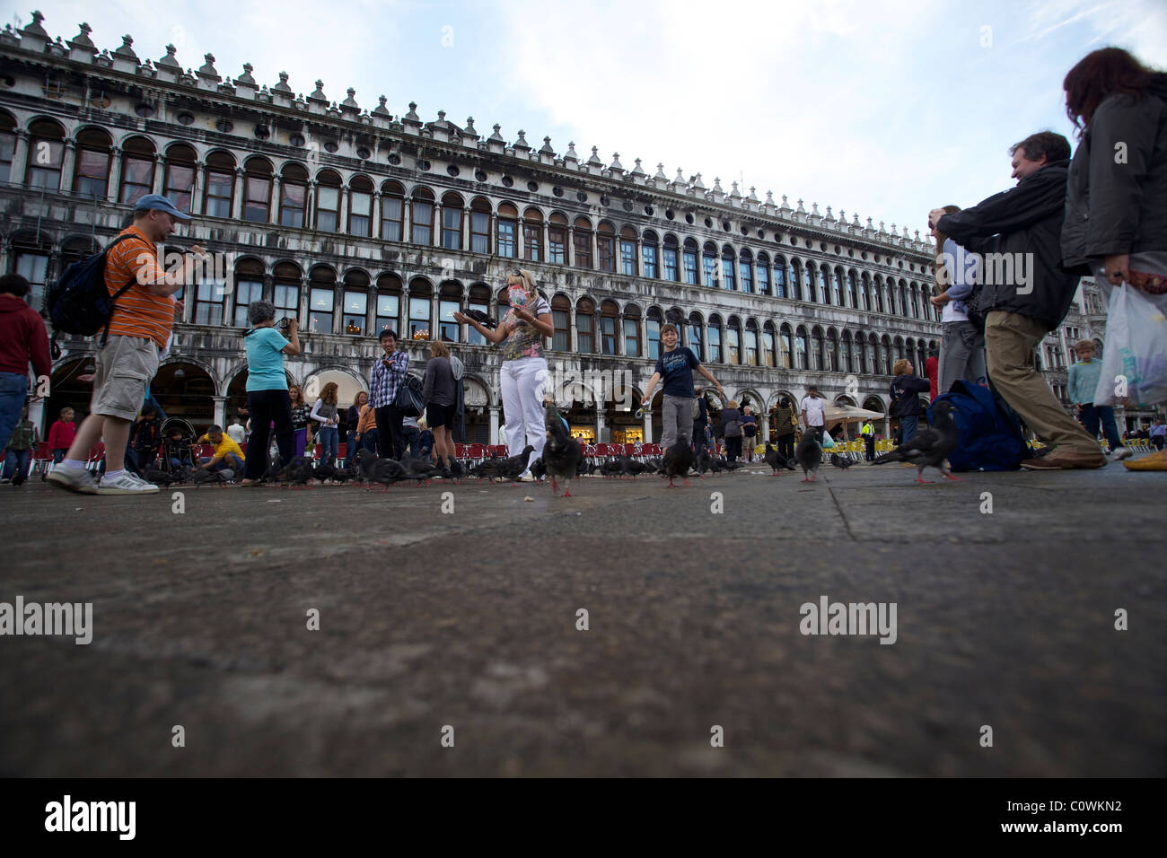 Touristen-Markusplatz Tauben Venedig Italien Stockfoto