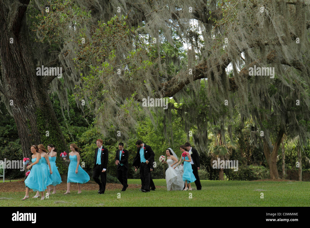 Orlando Florida, Harry P. Leu Gardens, Hochzeitsfeier, Ehrenmädchen, Braut, Bräutigam, spanisches Moos, lebende Eichen, Besucher reisen Touristik Touri Stockfoto