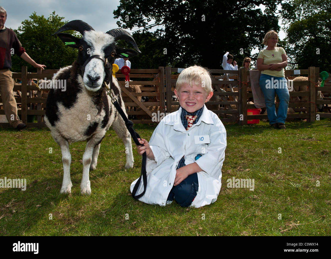 Young Farmers mit Schafen an Tieren zeigen, Yorkshire Stockfoto