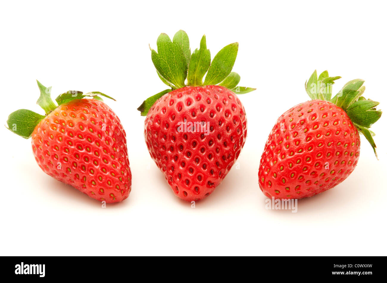 Spanische Erdbeeren auf weißem Hintergrund Stockfoto