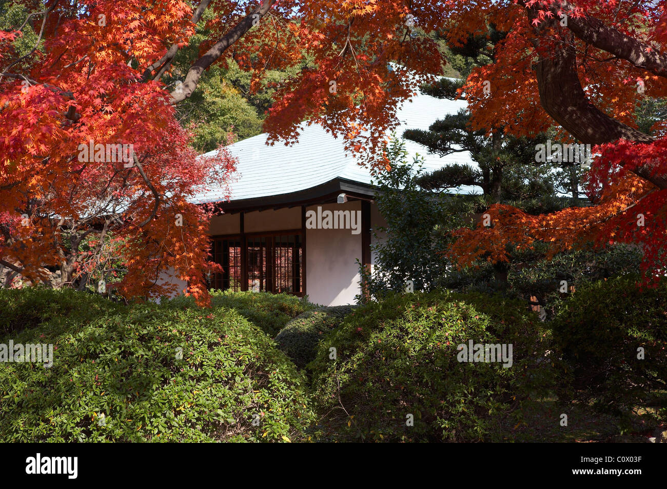 Tea House Japan Architecture Stockfotos und bilder Kaufen Alamy