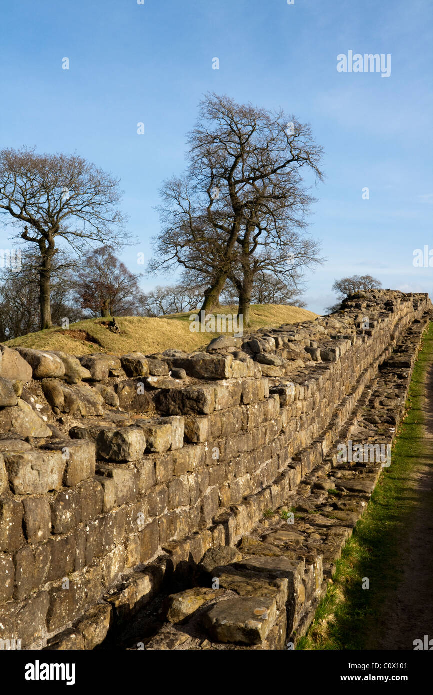 Entlang eines Teils der Hadrianswall mit dem Hadrianswall nationalen Pfad entlang anzeigen Stockfoto