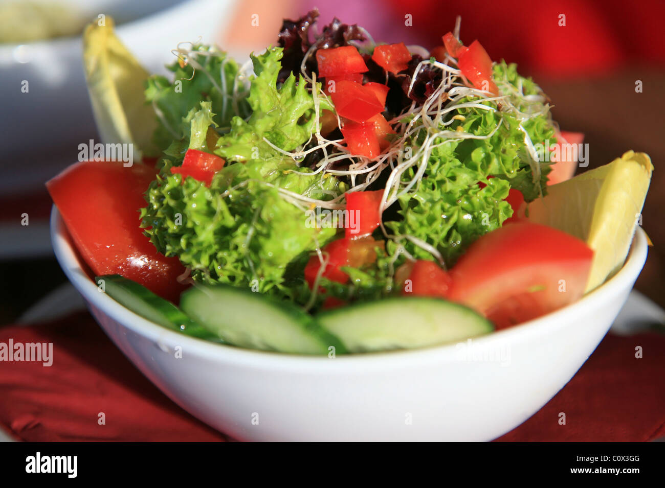 Frische Bio Garten Salat Stockfoto