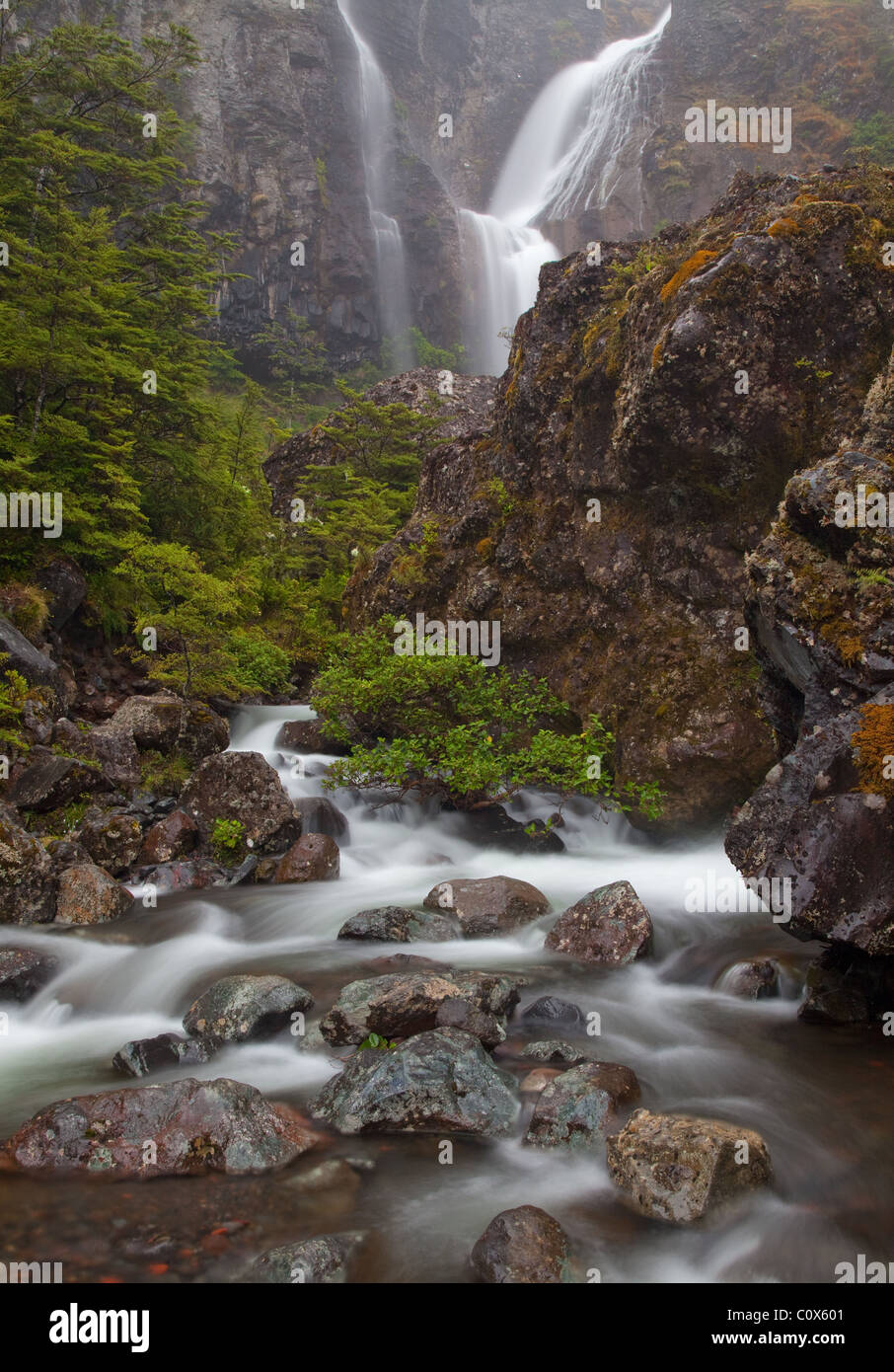 Waitonga Falls, Tongariro Nationalpark, Nordinsel, Neuseeland (an den Hängen des Mount Ruapehu) Stockfoto