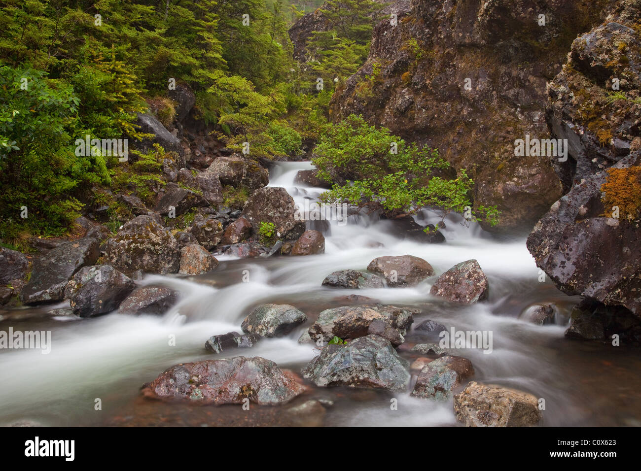 Stream unter Waitonga Falls, Tongariro Nationalpark, Nordinsel, Neuseeland Stockfoto