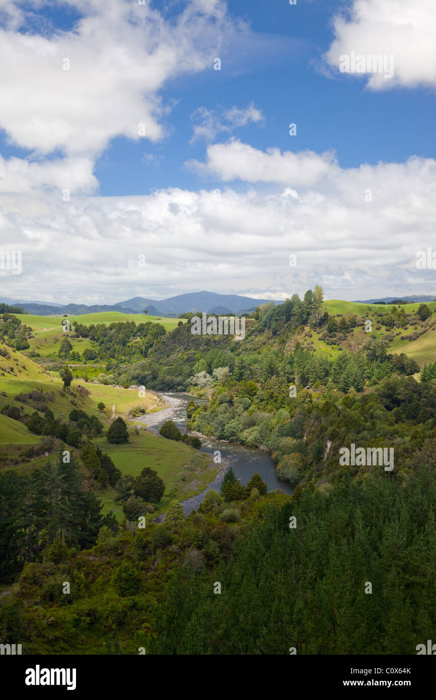Landschaft aus Piriaka Lookout, Nordinsel, Neuseeland Stockfoto