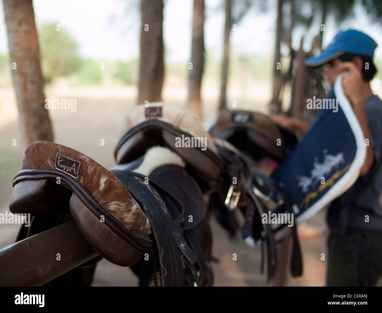 Ein Bräutigam Mann sammelt alle gebrauchten Sattel von den Pferden nach Polospiel Stockfoto