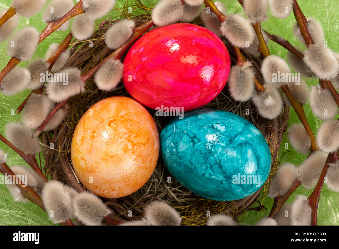 Osternest mit Eiern Stockfoto