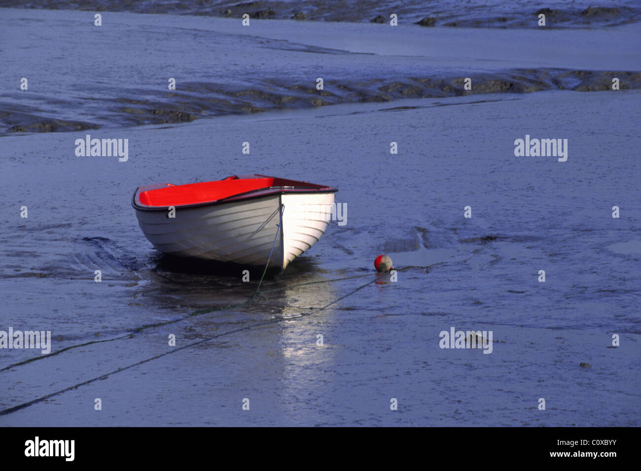 Boot bei Ebbe Strangford Lough, Nordirland. Stockfoto