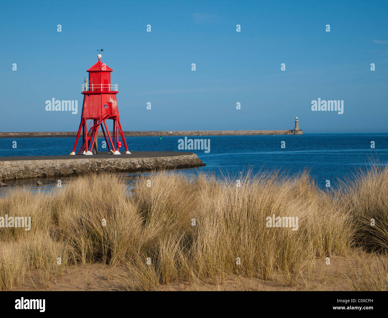 Die Herde Buhne Leuchtturm bei Tynemouth an einem sonnigen Frühlingstag Stockfoto