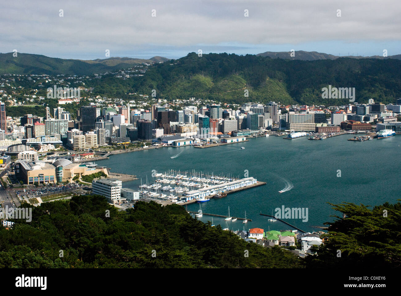 Blick über die Bucht von Wellington, mit Marina im Vordergrund und Geschäftsviertel und Hügeln im Hintergrund, Wellington, Neuseeland Stockfoto