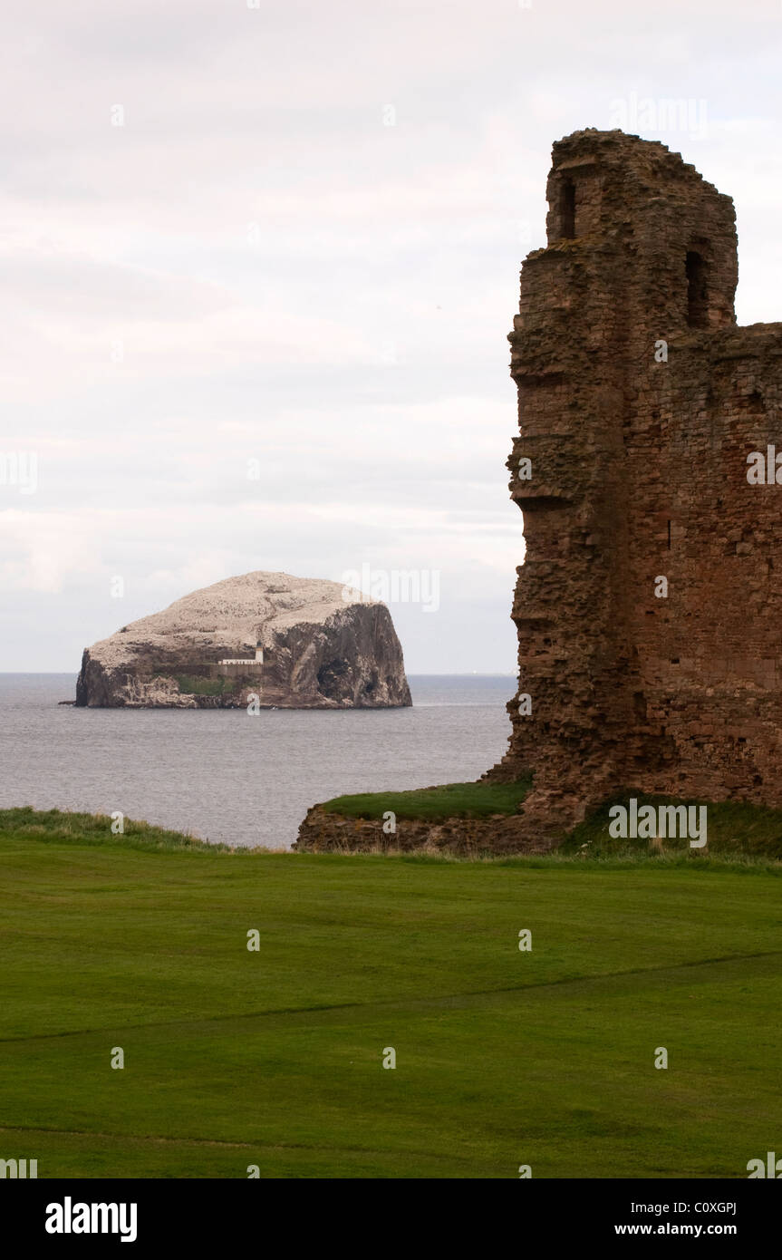 Der Bass Rock entnommen Tantallon Castle in der Nähe von North Berwick in Schottland Stockfoto