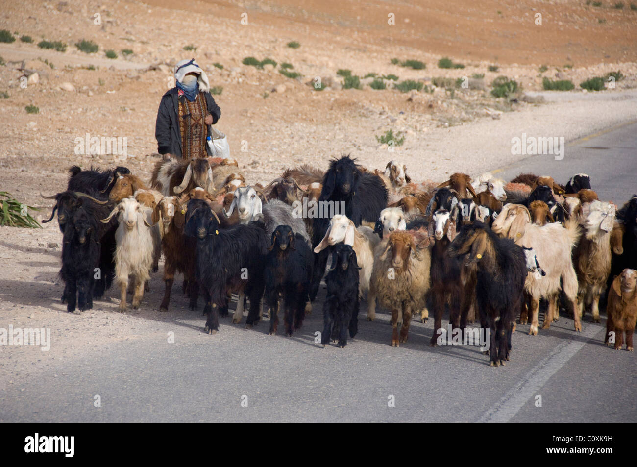 Jordan, historischen Hafen Stadt Aqaba. Beduinen Ziegenhirte in typischer Kleidung. Stockfoto