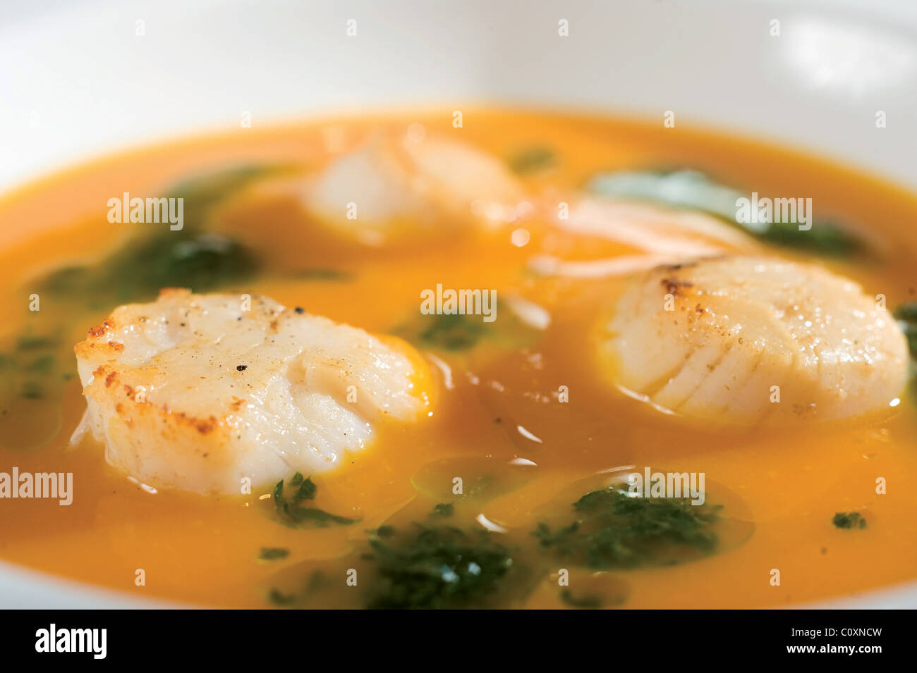 Pfanne gebraten Kreuzkümmel Jakobsmuschel mit einem Butternut-Kürbis-Suppe und Salsa Verde. Stockfoto