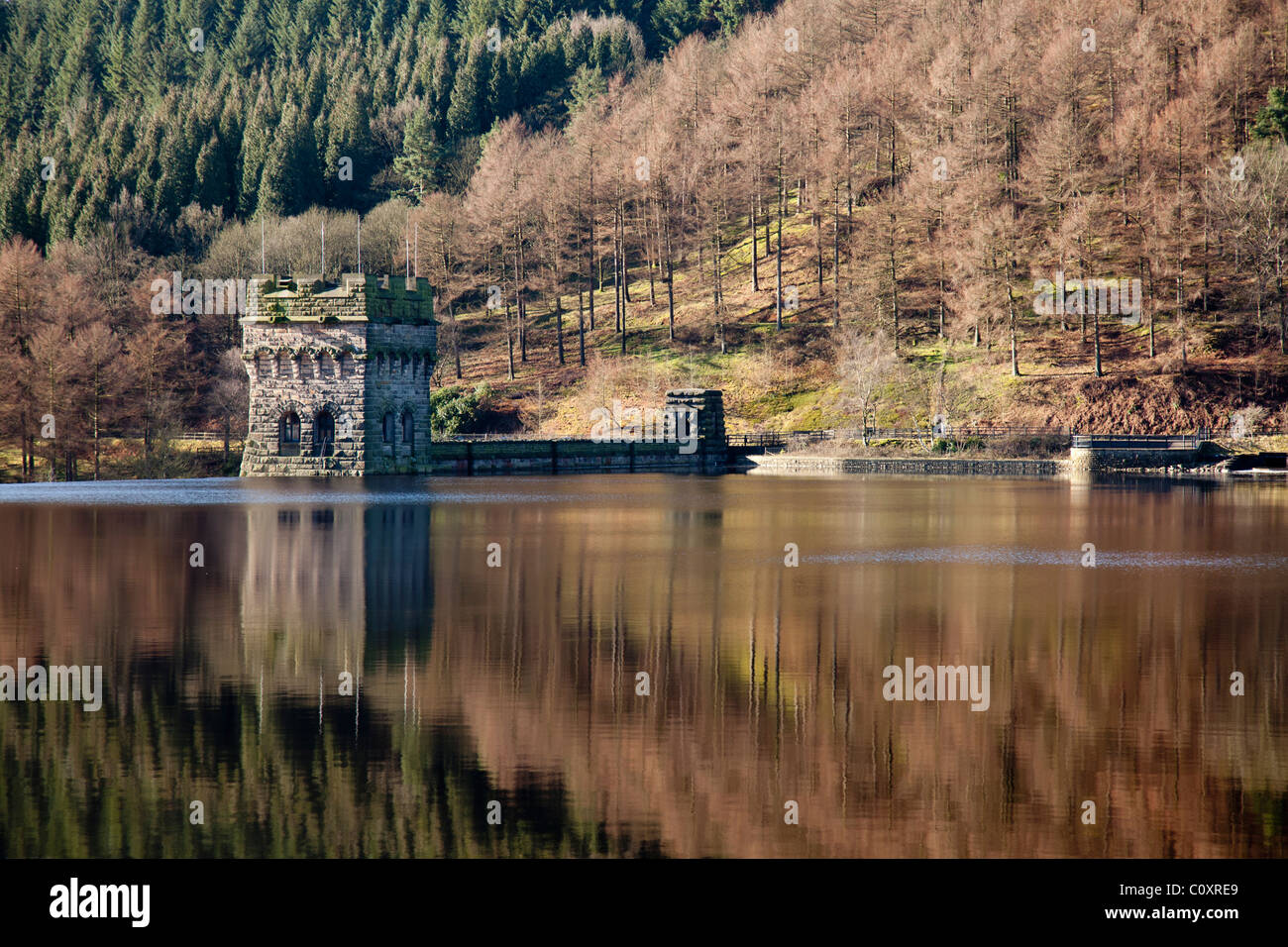 Baum spiegelt sich im Wasser am Howden-Damm, Derwent Valley Oberbecken im Peak District, Derbyshire, in der Nähe von Ladybower. Stockfoto