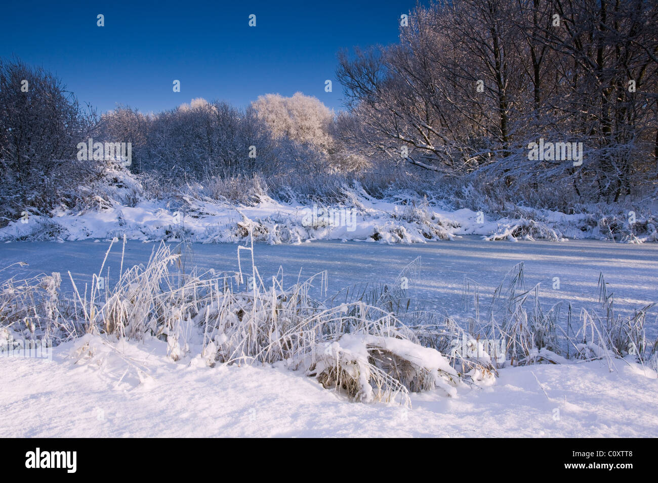 Ein Gefrorener Teich in der englischen Landschaft an einem Wintertag Stockfoto
