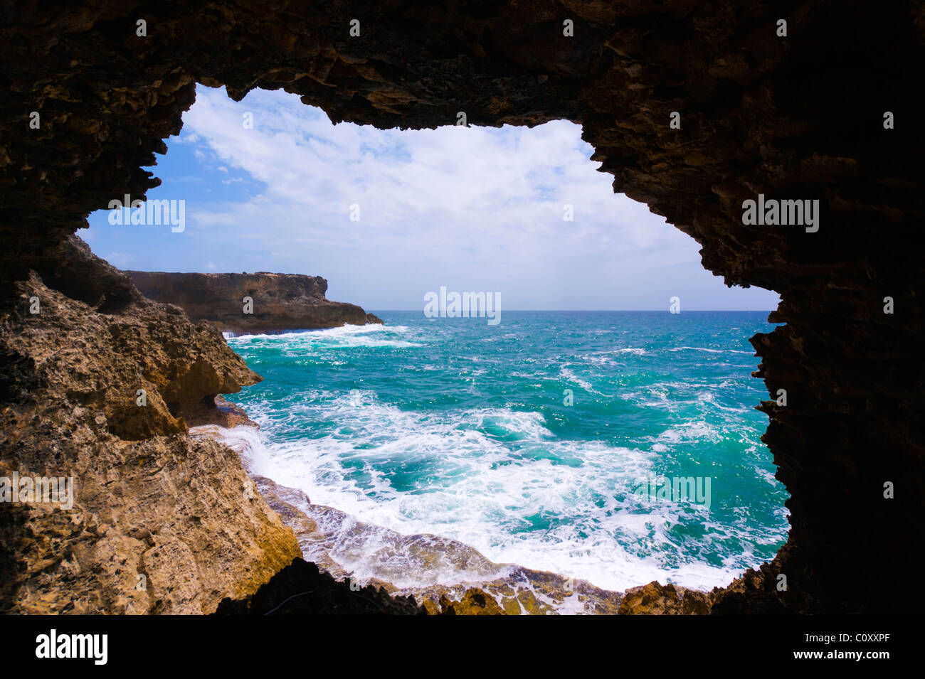 Animal Flower Cave, Barbados, Korallen und Kalkstein-Grotte mit Besucherzentrum und Ausblick auf Meer Stockfoto