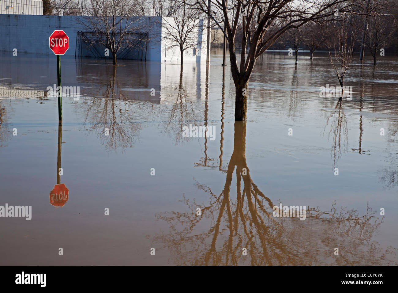 Findlay, Ohio - nach starkem Regen und Schnee schmelzen, läuft der Blanchard River seinen Ufern. Stockfoto