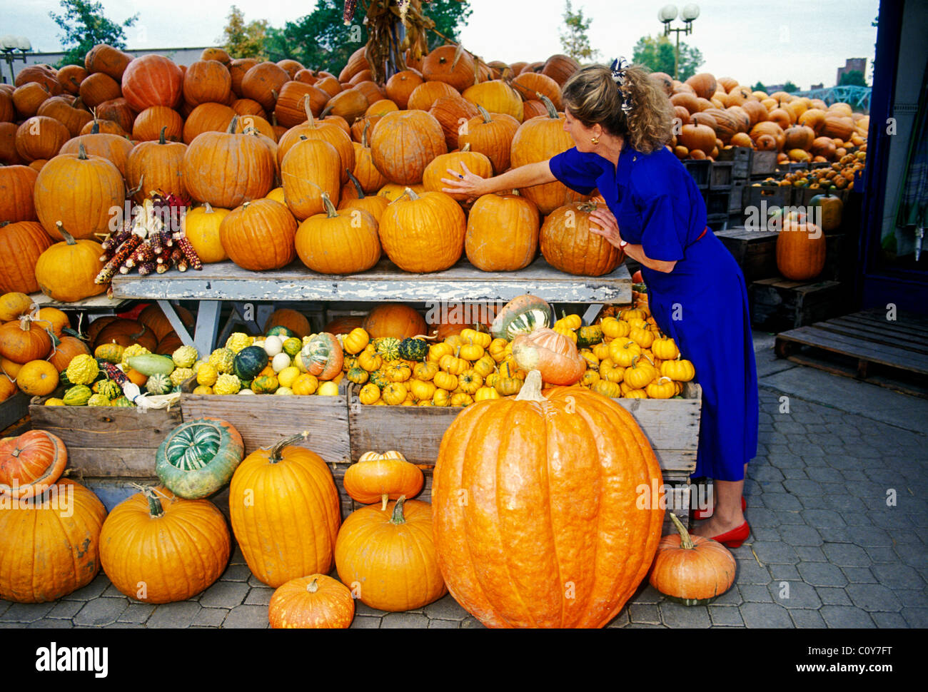 Kanadisches Französisch, Kanadisches Französisch Frau, erwachsene Frau, weiblich, Anbieter, Atwater Market, Montreal, Provinz Quebec, Kanada Stockfoto