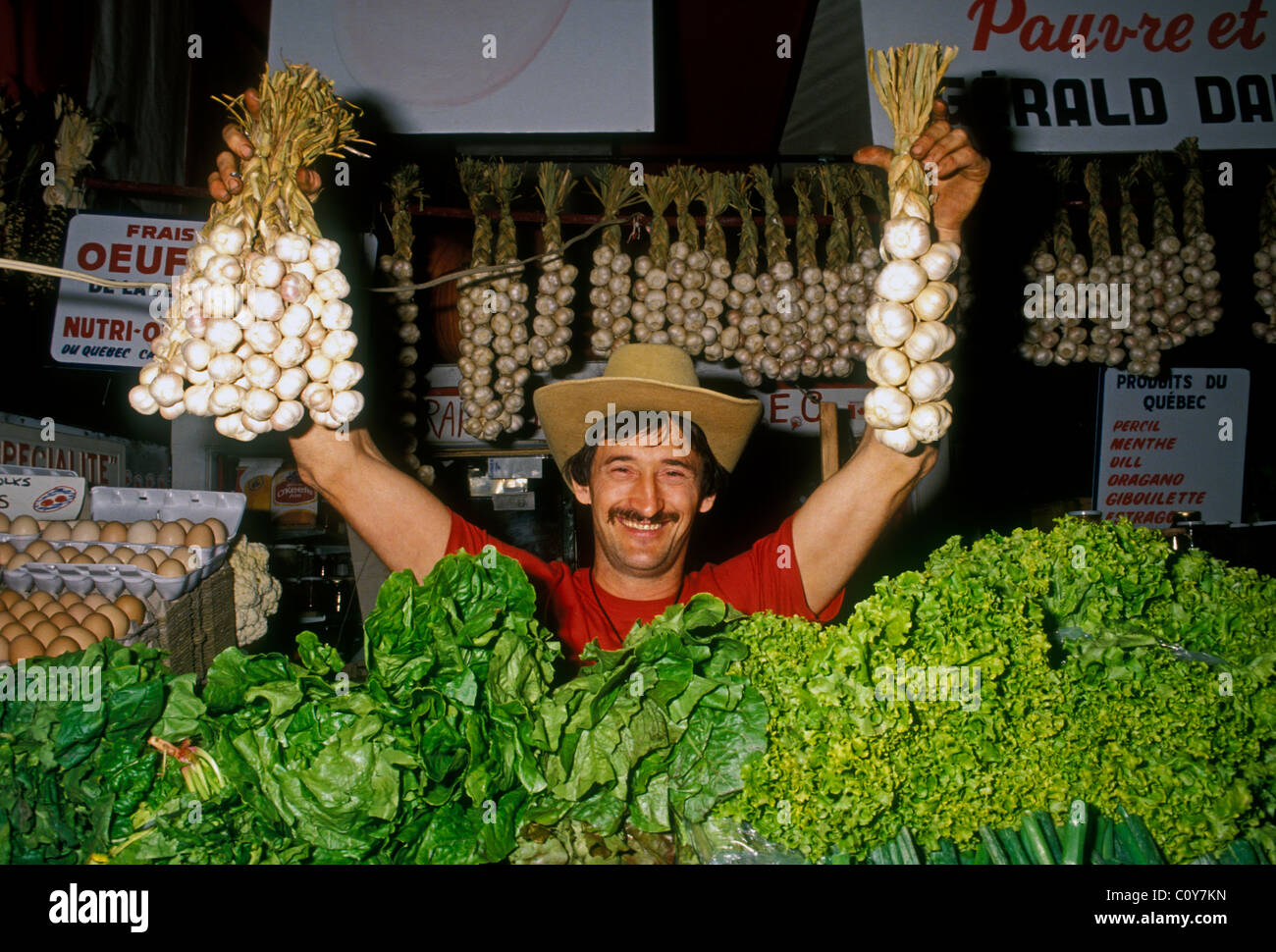 Kanadisches Mann, Kanadisches Französisch, Vorderansicht, Augenkontakt, Anbieter, Atwater Market, Montreal, Provinz Quebec, Kanada Stockfoto