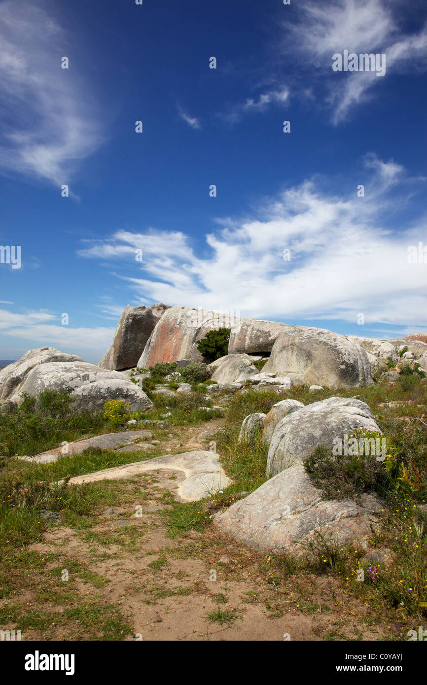 Flechten-verkrusteten Felsbrocken in der West Coast National Park, in der Nähe von Langebaan in Western Cape, Südafrika. Stockfoto