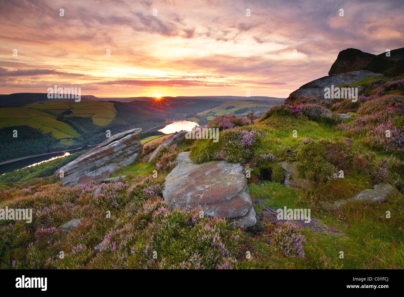 Whinstone Lee Stockfoto