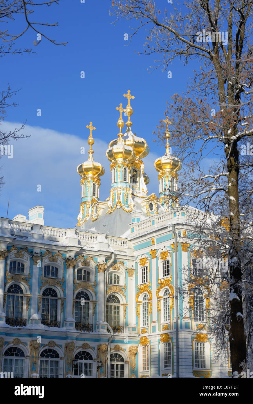 Katharinenpalast, Zarskoje Selo, Puschkin, Sankt Petersburg, Russland Stockfoto