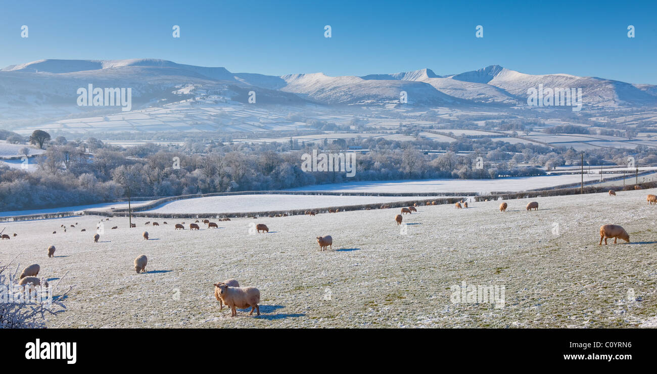 Pen Sie y Fan & Mais Du Berge Brecon Beacons Powys Wales im winter Stockfoto