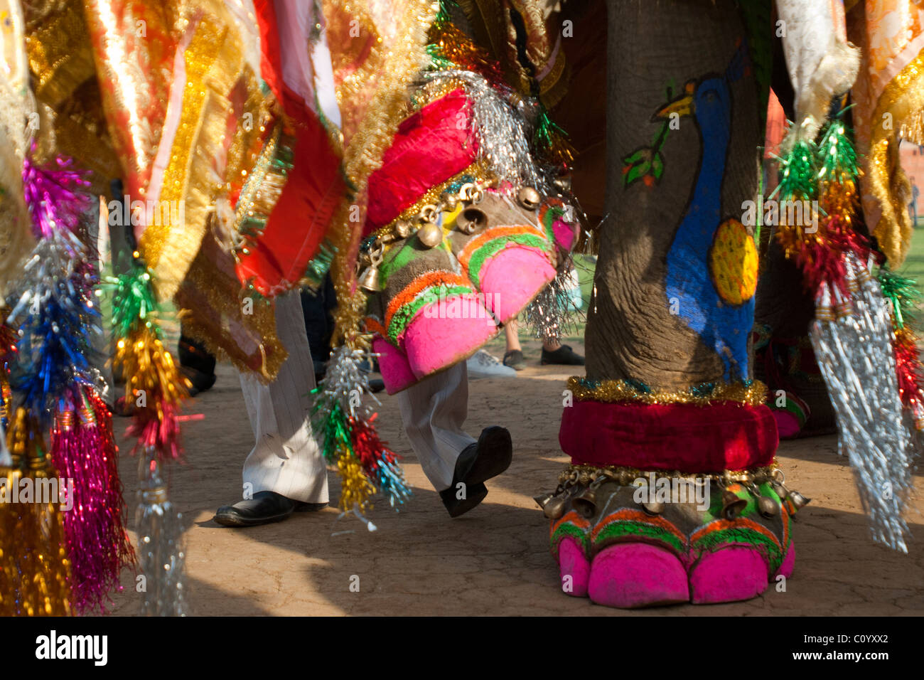 Lackierten Zehen eines Elefanten und Füße von einem indischen Mann im Hintergrund in al darstellen lustig. Jährliche Jaipur Elephant festival Stockfoto